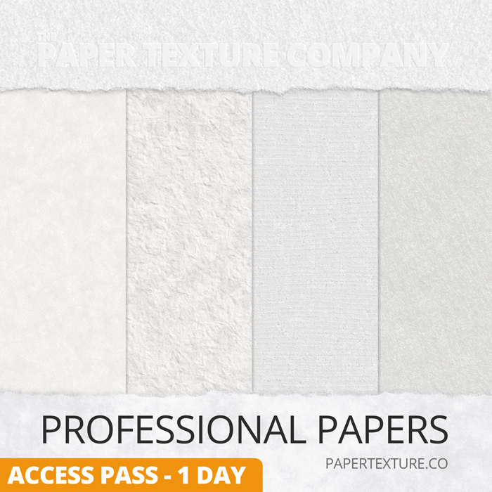 Digital paper texture - Four vertical samples of different white and off-white textured papers are displayed side by side. Text reads "PROFESSIONAL PAPERS" and "ACCESS PASS - 1 DAY" at the bottom, with "PAPERTEXTURE.CO" on the right.