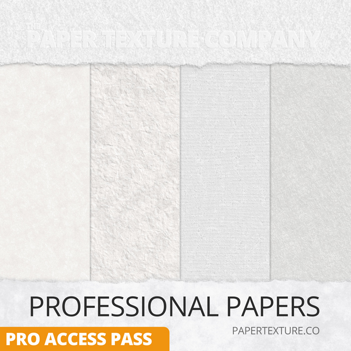 Digital paper texture - Four vertical paper texture samples in different shades and patterns, with the text "PROFESSIONAL PAPERS" and "PRO ACCESS PASS" along the bottom, and "PAPER TEXTURE COMPANY" at the top.
