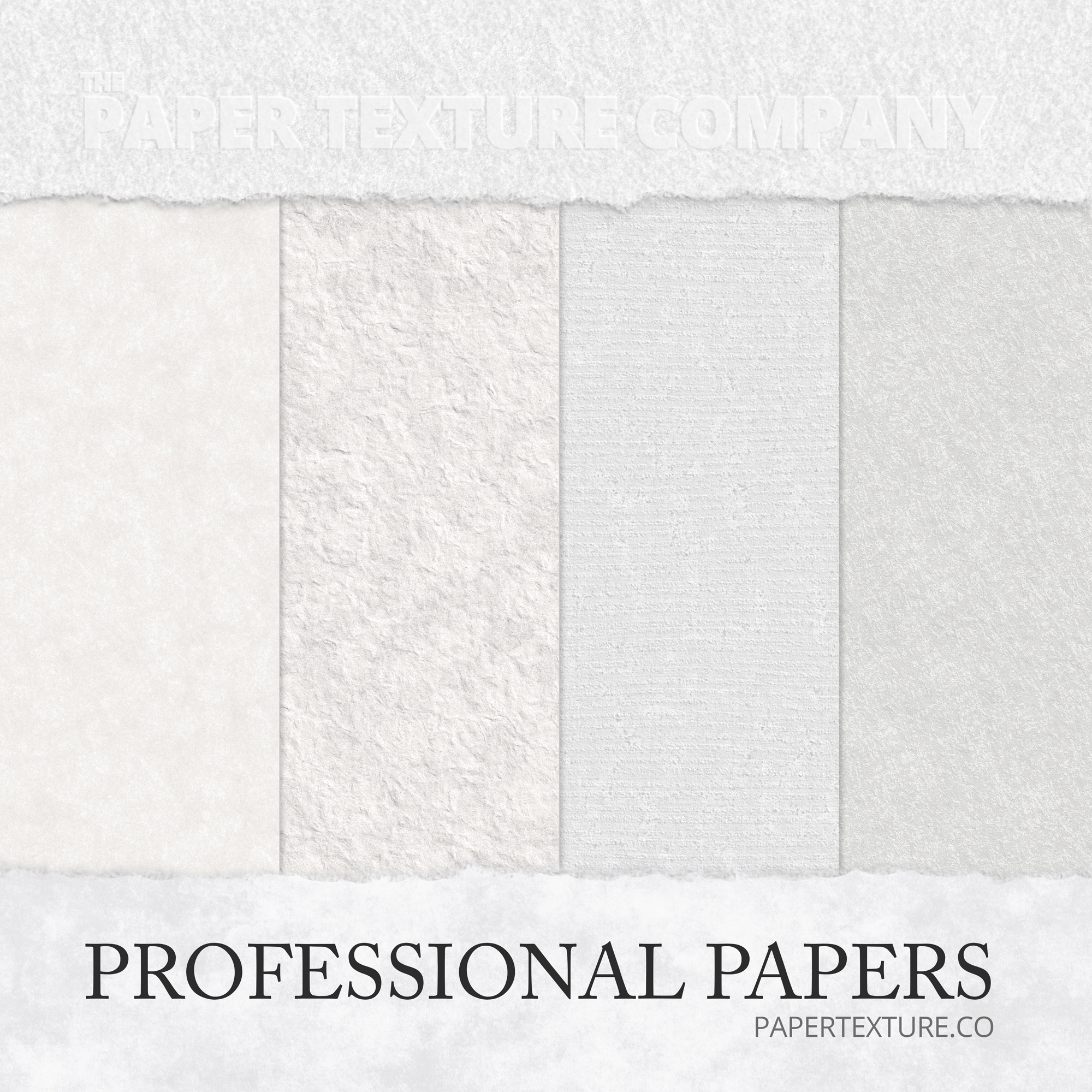 Image of Pro Access - Yearly